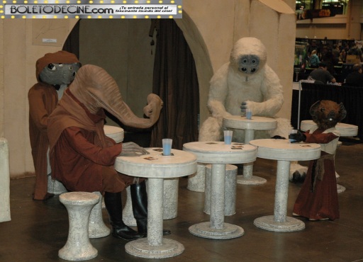 celebration VI pic 10